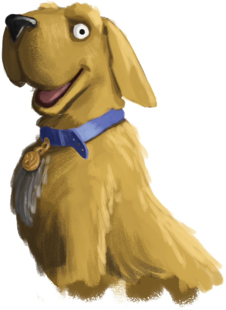 Mental Health & Wellbeing Workshops