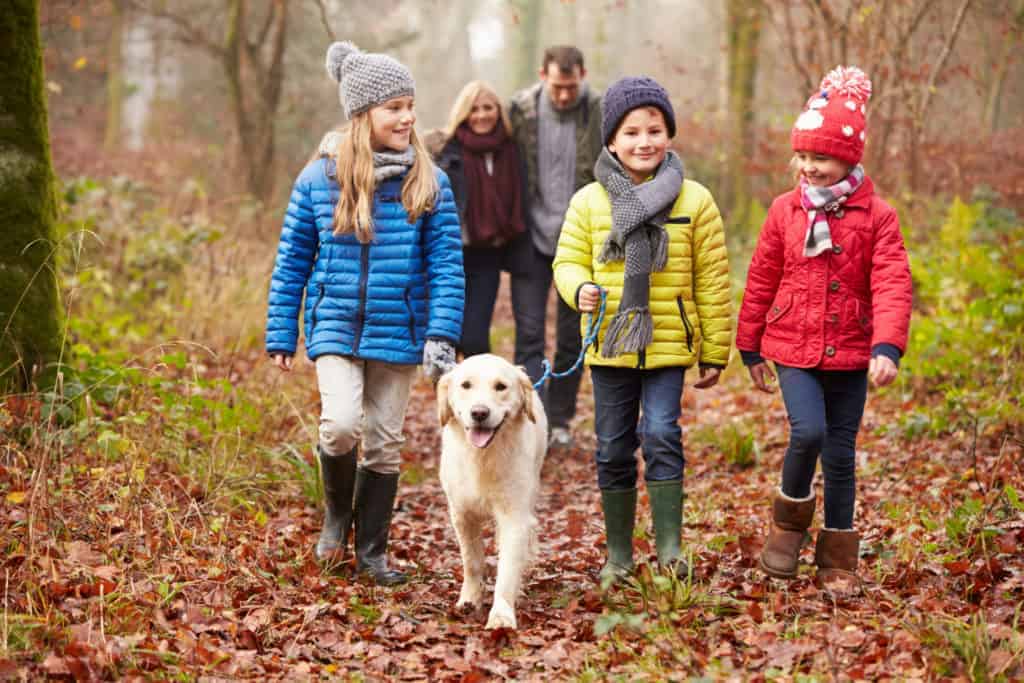 Family walking in the woods at Christmas