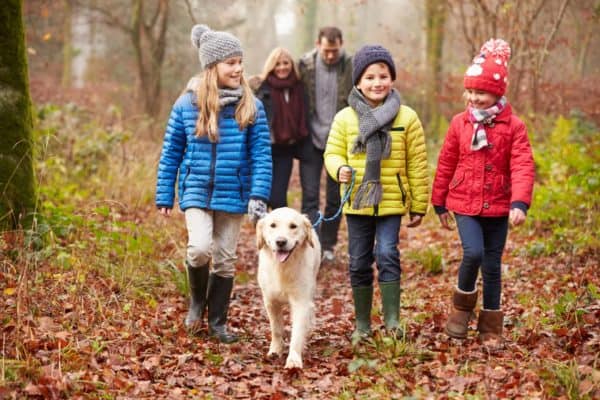 Family walking in the woods at Christmas