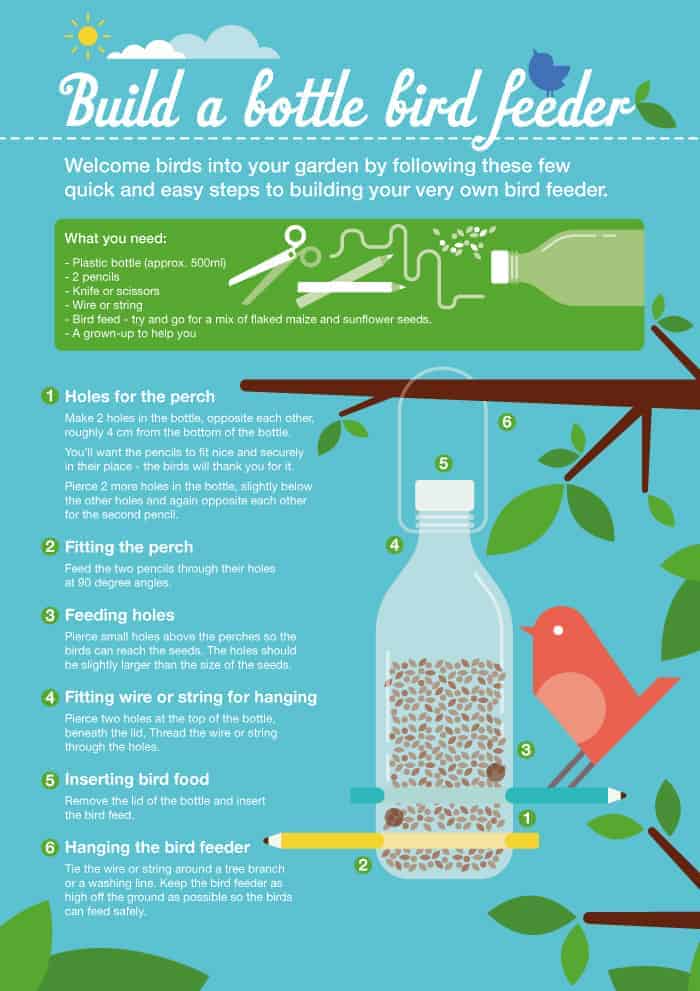 Sainsbury’s Bank Guide to Building a Bottle Bird Feeder