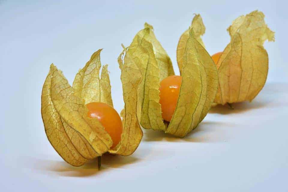 Physalis, Fruit, Berry, Orange, Food, Healthy, Vitamins