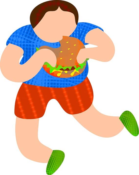 Read more about the article Does forbidding junk food make it more appealing to children?