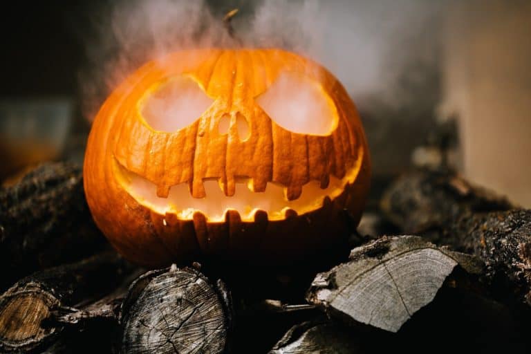 Read more about the article Fun Ideas to Celebrate Halloween at Home