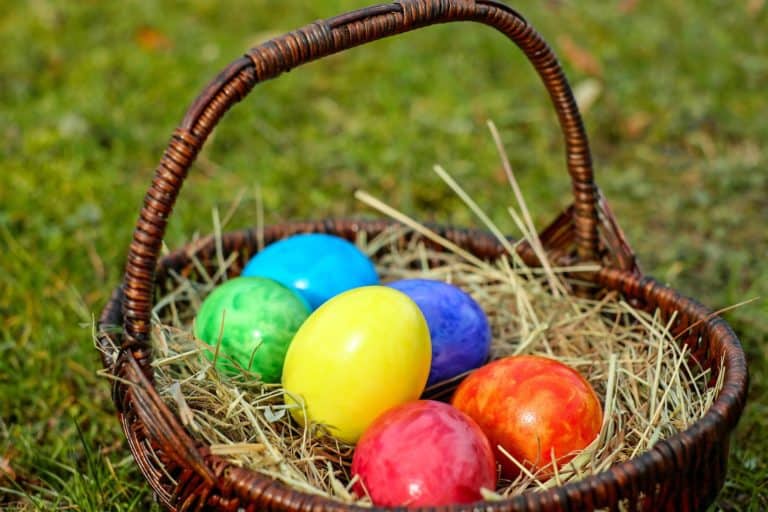Read more about the article Easter Break Fun For Kids In Middlesex