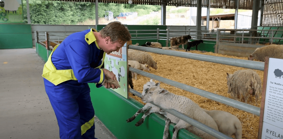 Meeting the Farm Animals: