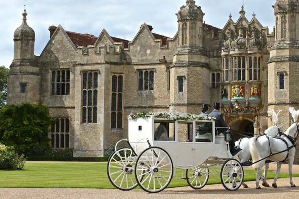 Horse-and-carriage-for-party Horse-and-carriage-for-party