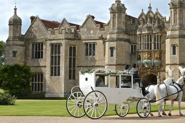 Horse and carriage for party